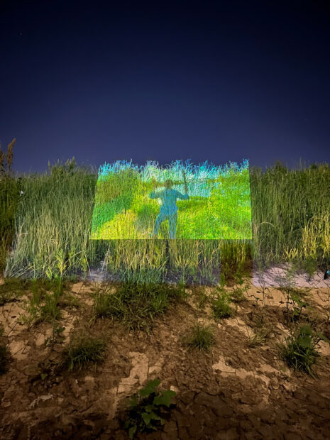 Still of a performance with a projection in grass