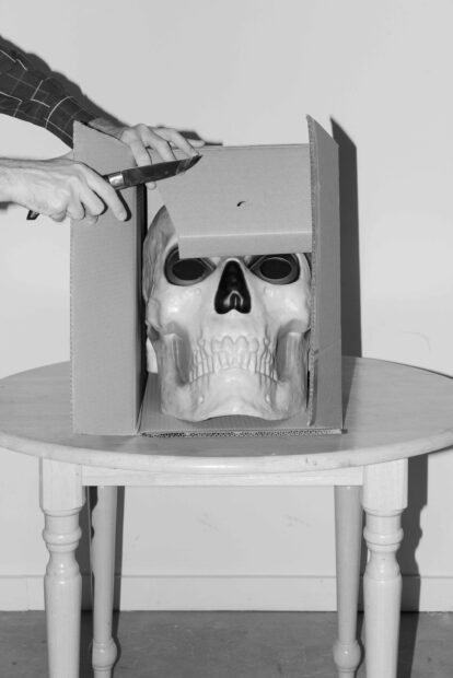 Photo of a skeleton head in a box