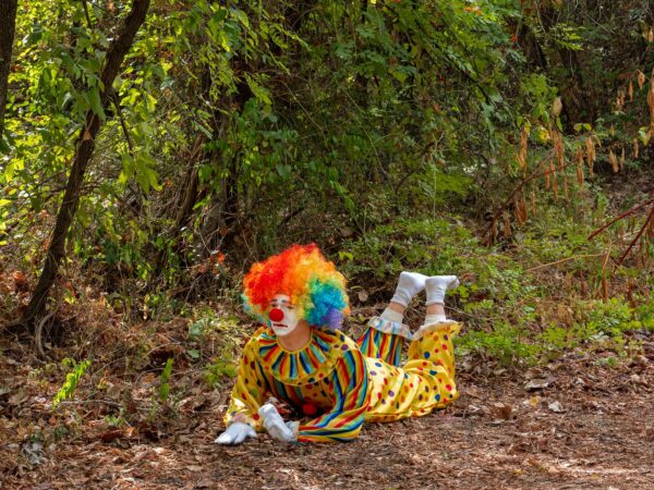 Image of a sculpture of a clown on the ground and surrounded by trees
