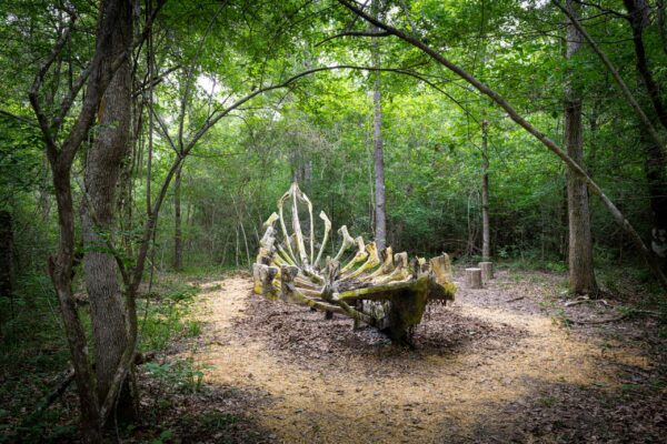A sculpture of the skeleton of a boat sits in a wooded clearing.