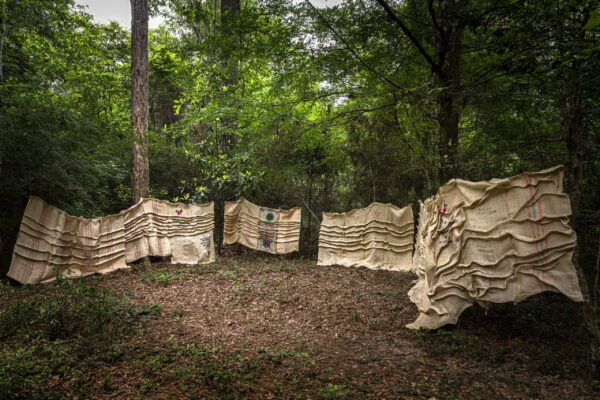 Burlap sacks are strung up between trees in a wooded area.