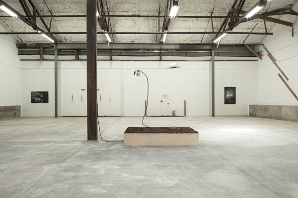 An installation image of works by José Villalobos on view in a large open gallery space at Big Medium in Austin.