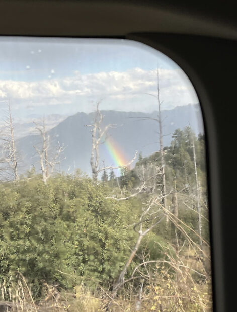 Photo of a haalf rainbow in aa field