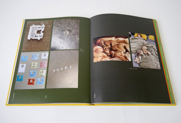 A spread of a book shows a collection of photographs of objects.