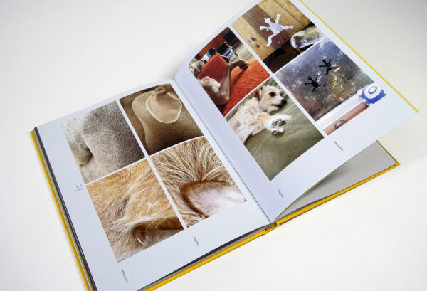 A spread from a book shows photographs of dogs and dogs' various limbs.