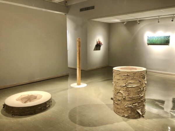 Installation view of sculptures in a gallery