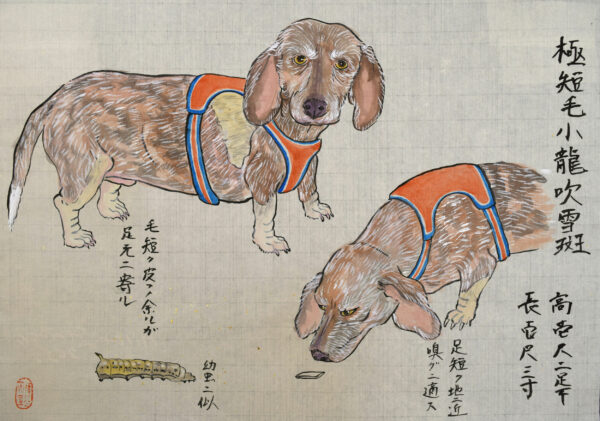 Drawing of two dogs