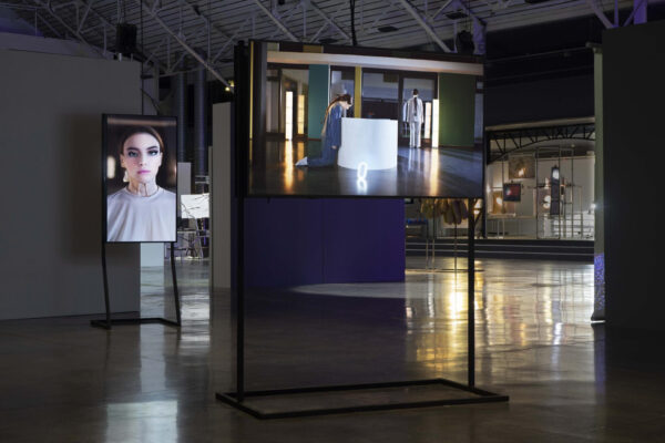 An installation image of a multimedia work by Ethel Lilienfeld.
