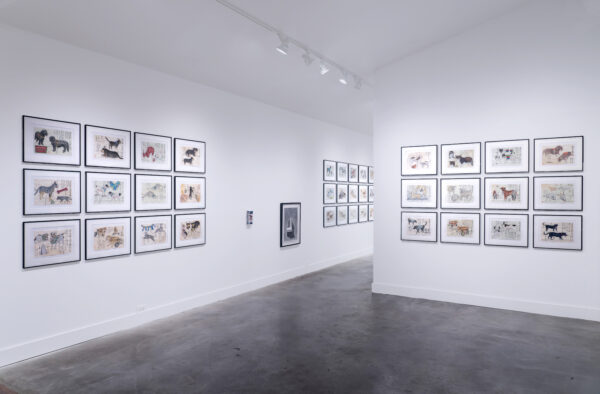 Installation view of works on paper in a gallery