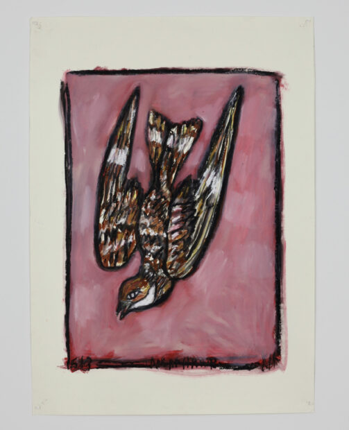 Painting of a bird pointed down against a pink backdrop
