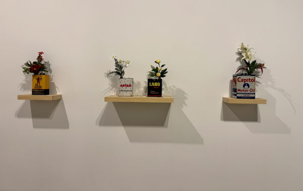 A photograph of three wooden shelves each holding a vintage oil can with artifical flowers coming from the spout.