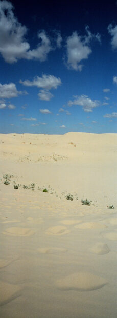 A photograph of sand dunes in Texas.