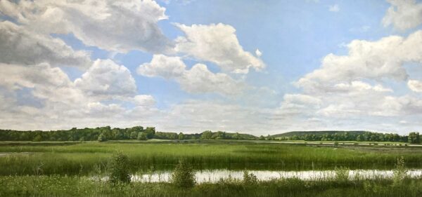 Painting of wetlands
