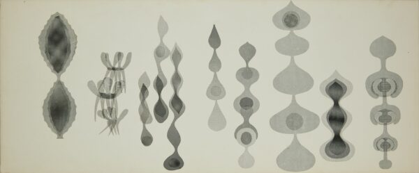 A work by Ruth Asawa featurijng shadows of twelve wire sculptural forms.