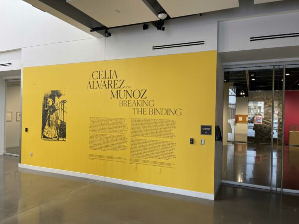 Title wall of a Celia Alvarez exhibition