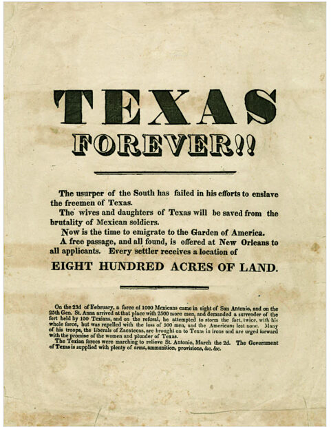Texas forever leaflet