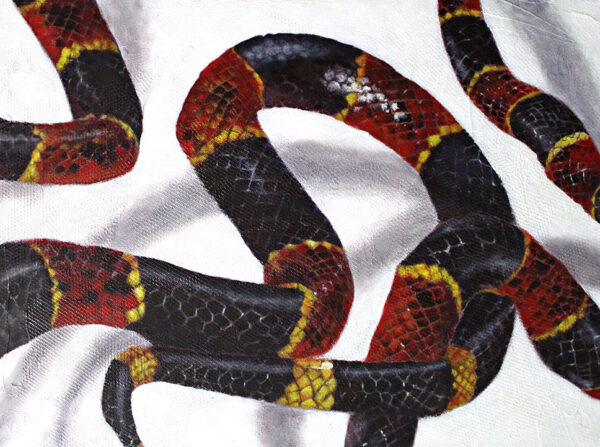 Drawing of a red and black snake