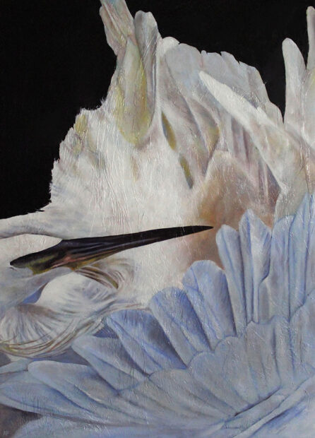 painting of a birds beak against their feathers