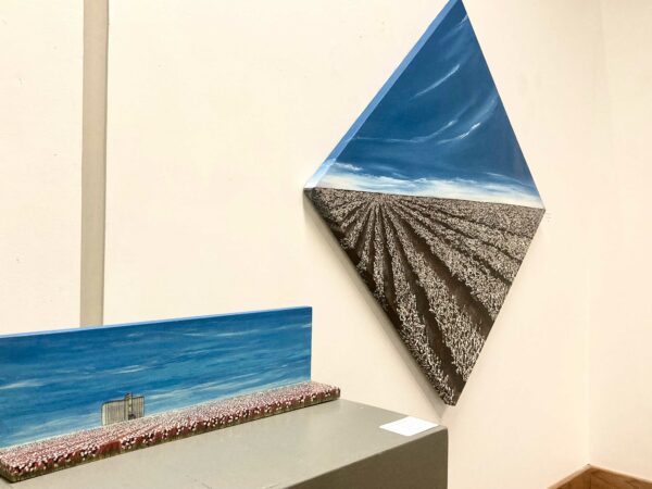 Installation view of two paintings of the West Texas landscape