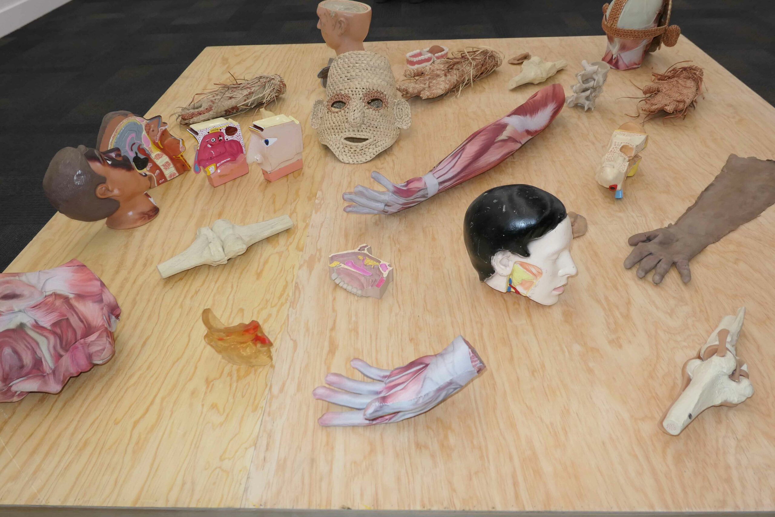 approximately 22 small sculptures rest atop a wooden tabletop. Many of the sculptures are medical models of body parts: hands, arms, ear, throat, and nose models, as well as bones and joints.