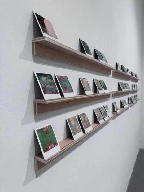 Installation view of polaroids on shelves against a white wall