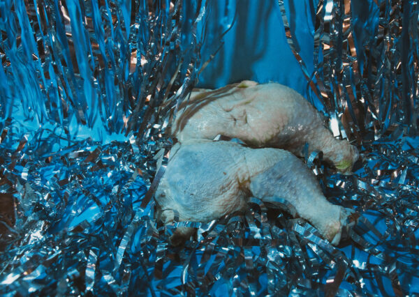Digital photograph of raw chicken thighs in a blue background with reflective mylar