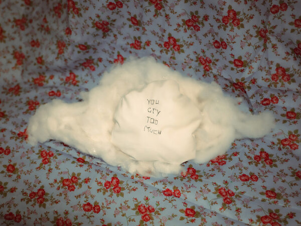 Digital photo of a pillow stuffing against a blue and red floral background with the words "you cry too much"