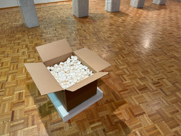 Sobre un pequeño pedestal blanco en el suelo de madera está una caja de cartón abierta y llena de cascarones de huevo rotos.