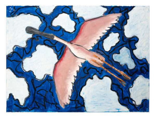 A painting of a spoonbill bird, seen from below as it flys over the viewer.
