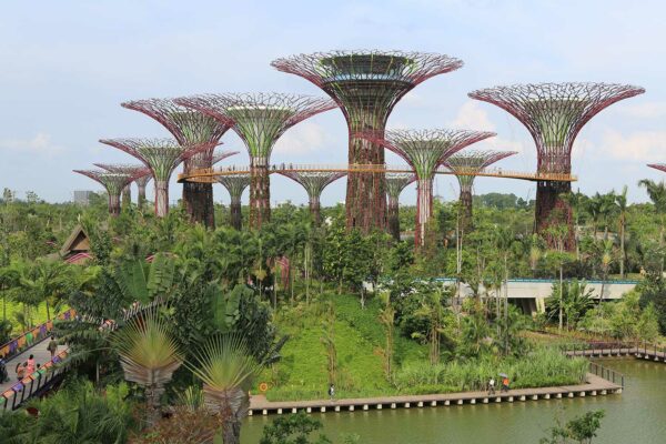 Large scale structures arise from a heavily wooded area and tower over a walkway near the water in Singapore. 