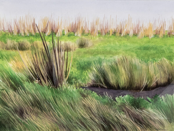 A hyperrealistic painting of marsh land.