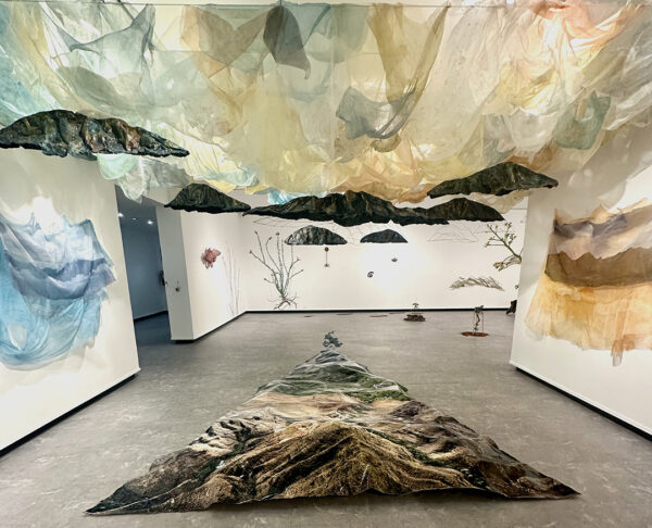 An installation image of works by Donna Zarbin Byrne featuring natural forms made from draped fabric.