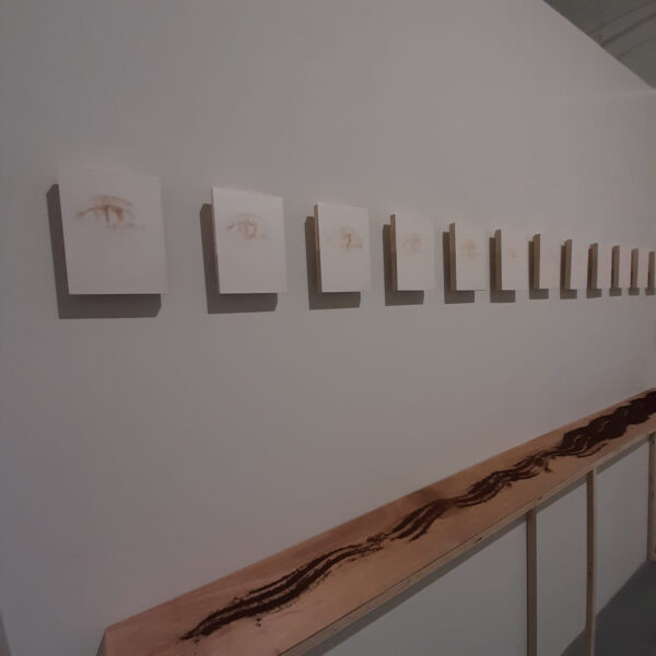Drawings of eyes with a shelf of coffee grounds underneath