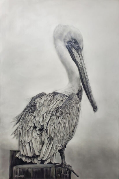 A black and white artwork by Patsy Lindamood featuring a pelican.