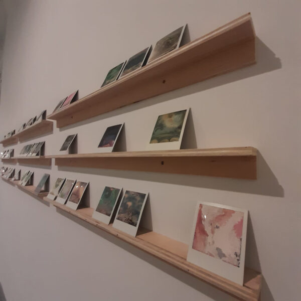 Three rows of polaroids on shelves