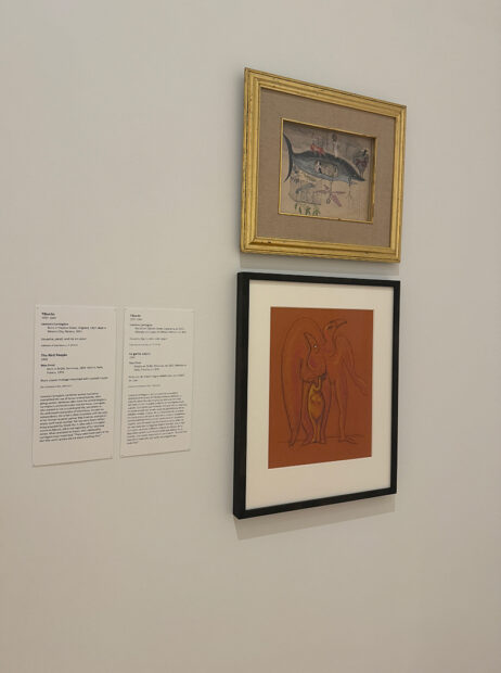 An installation of works by Leonora Carrington and Max Ernst