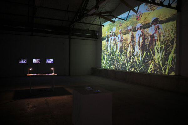 A film is projected inside a darkened gallery depicting people in a cornfield.