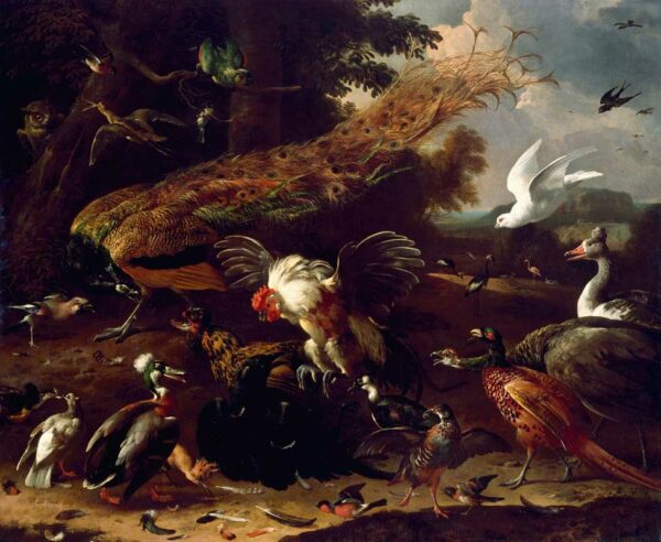 A 17th century oil painting of various birds attacking a crow.