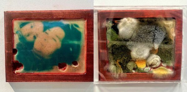 Two edible photos in frames