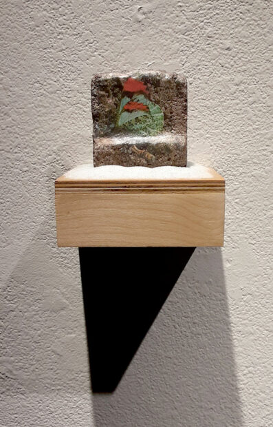 A small wooden shelf holds a piece of concrete with an image of a butterfly affixed to it.