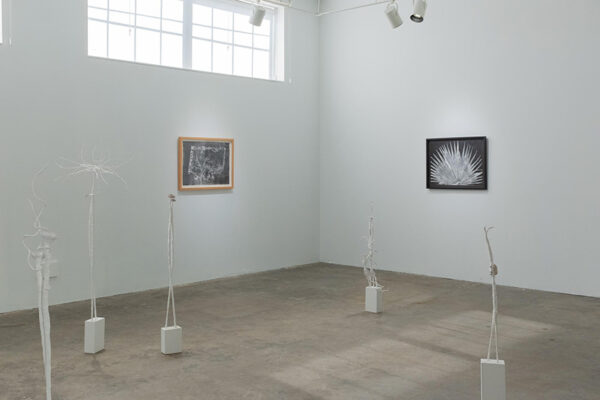 A gallery with freestanding white sculptures and framed prints on the walls.