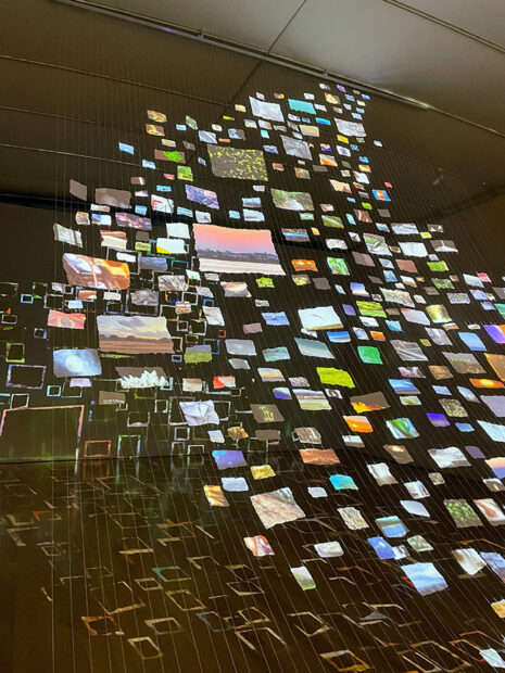 Hundreds of various sized pieces of paper hang fro mthe ceiling of a gallery on strings. Each piece has a different video of animals projected onto its surface.