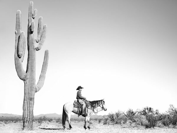 A photograph of a cowboy on a horse in profile standing before a large saguaro cactus.