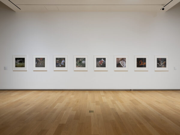 An installation image of color photographs by Sally Mann.