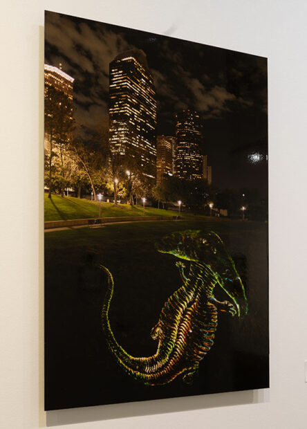 A photograph of the Bayou in Houston with a large drawing of projected on the grassy hillside.