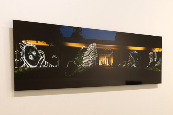 A photograph of the Menil in Houston with large drawings of crinoids projected on the walls of the museum.