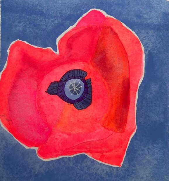 A watercolor of a red poppy on a blue background.