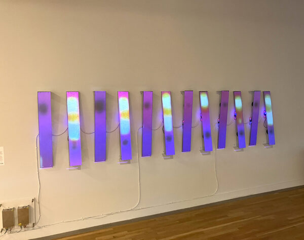 Twelve light bars are hung in a row on a gallery wall.