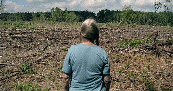 A woman in a blue t-shirt stands before a field of deforested trees.