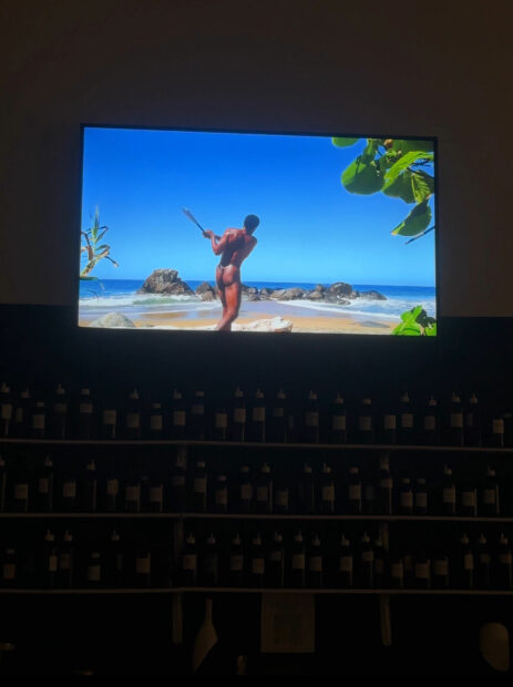 A video screen shows a nude man swinging a baseball bat on the beach.